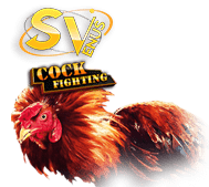 sv388 MANIS69